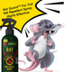 Rat Guard™ – Powerful Rat Repellent Spray for Cars & Bikes